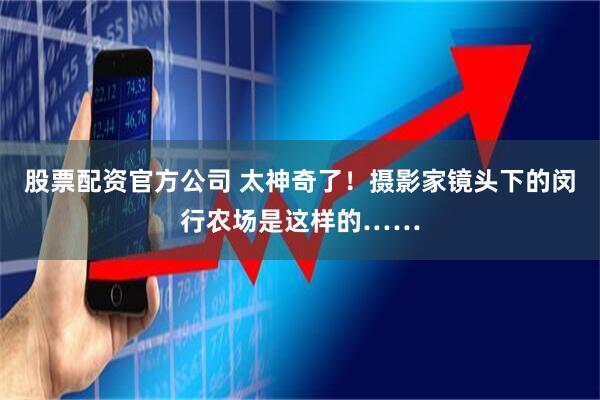 股票配资官方公司 太神奇了！摄影家镜头下的闵行农场是这样的……